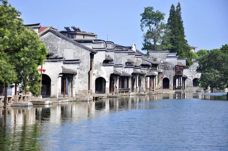 动物帮帮忙保卫家园